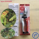 Kéo cắt cành, cắt cành nhánh cà phê, cắt tỉa cây cảnh đỏ Japan KATAYAMA GF-200RW 200mm